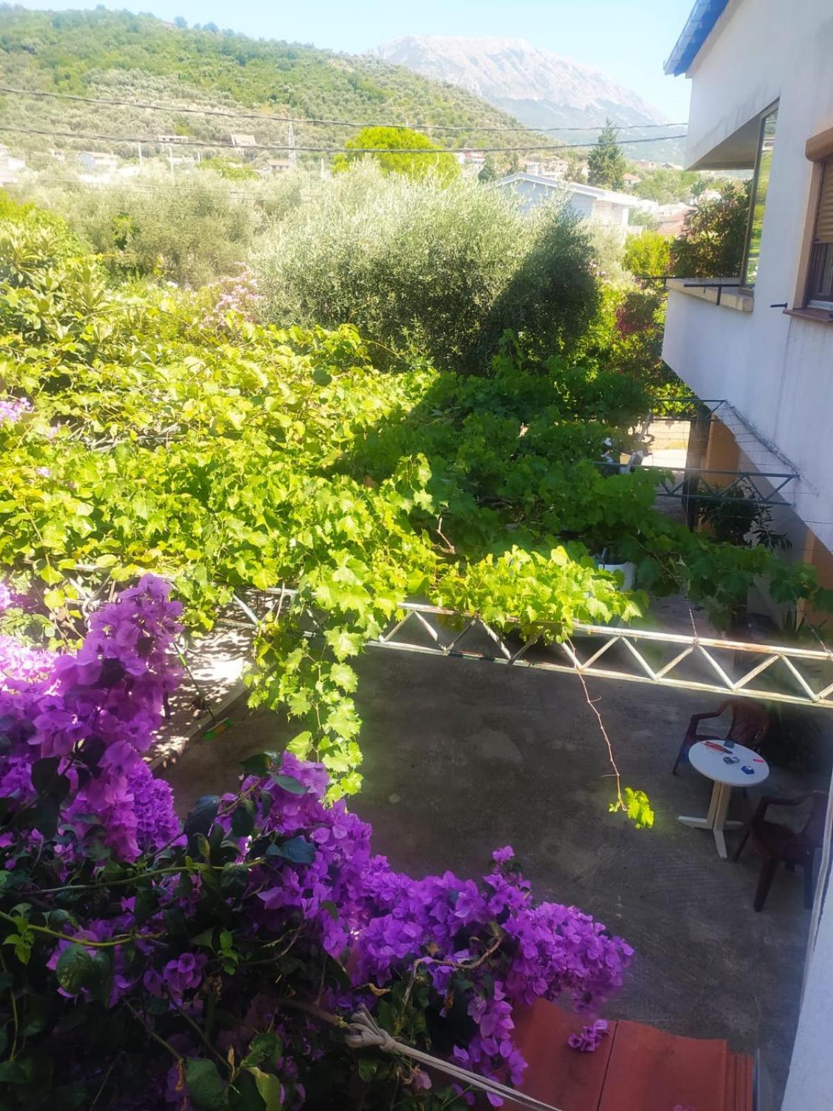 דירות באר Boho Apart מראה חיצוני תמונה